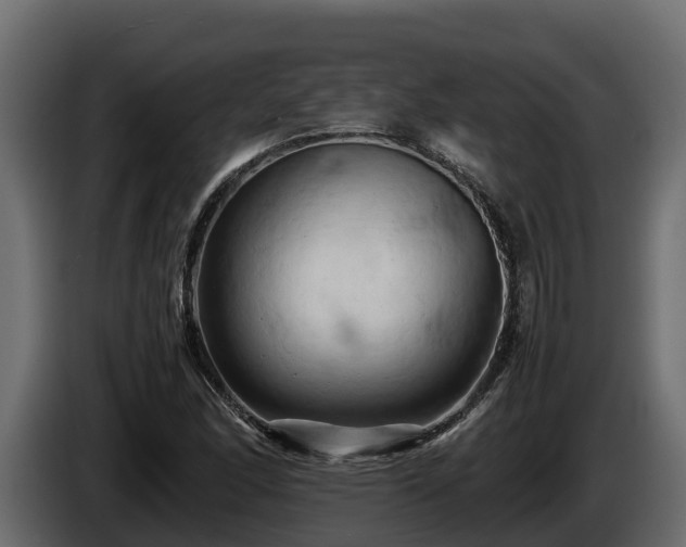 X0000085751166200703231126