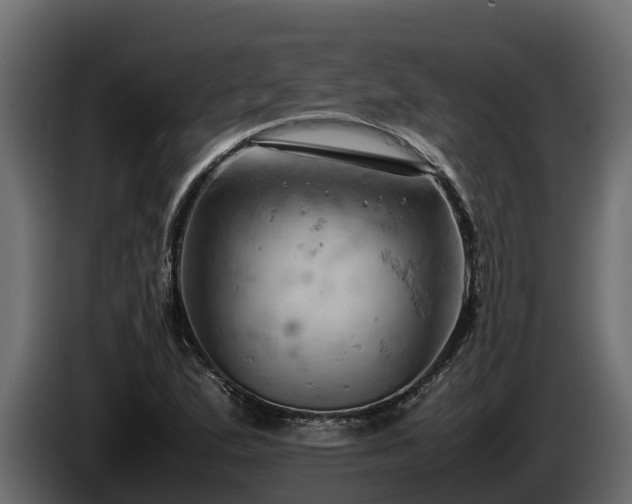 X0000085751167200703231126