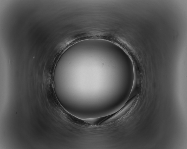 X0000085751169200703231126