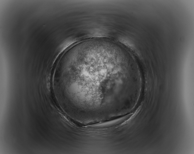 X0000085751170200703231126
