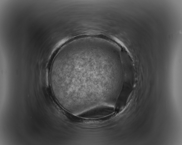 X0000085751171200703231126