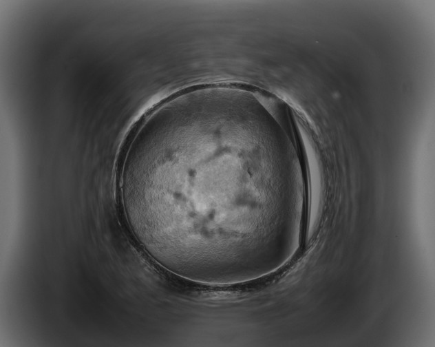 X0000085751173200703231126