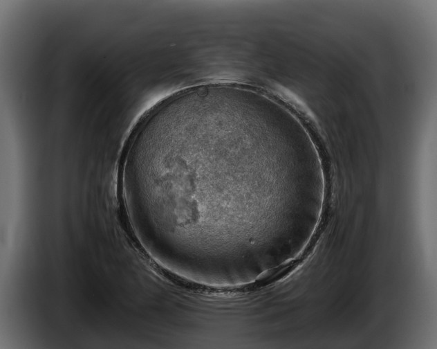 X0000085751174200703231125
