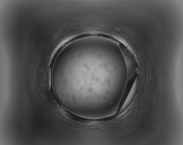 X0000085751175200703231125