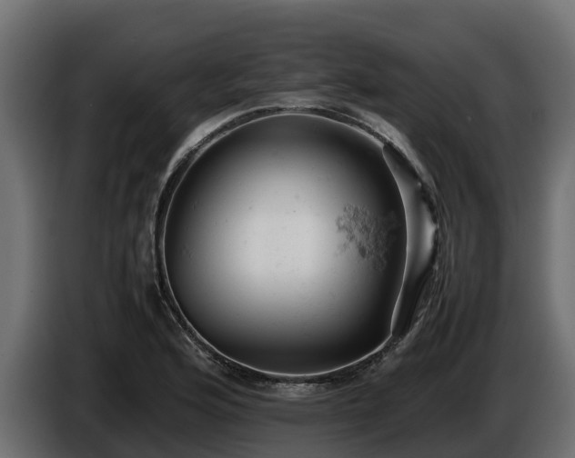 X0000085751176200703231125