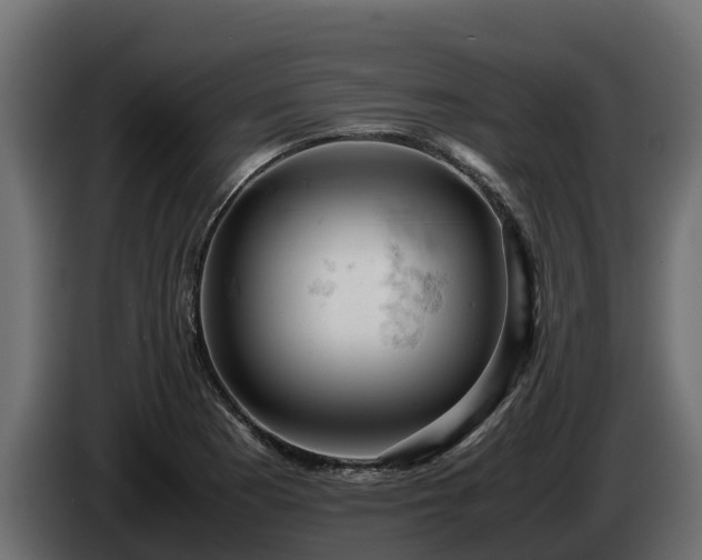 X0000085751177200703231125