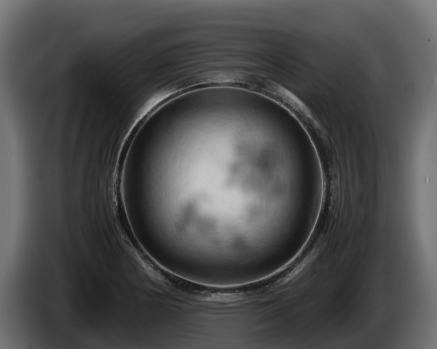 X0000085751178200703231125