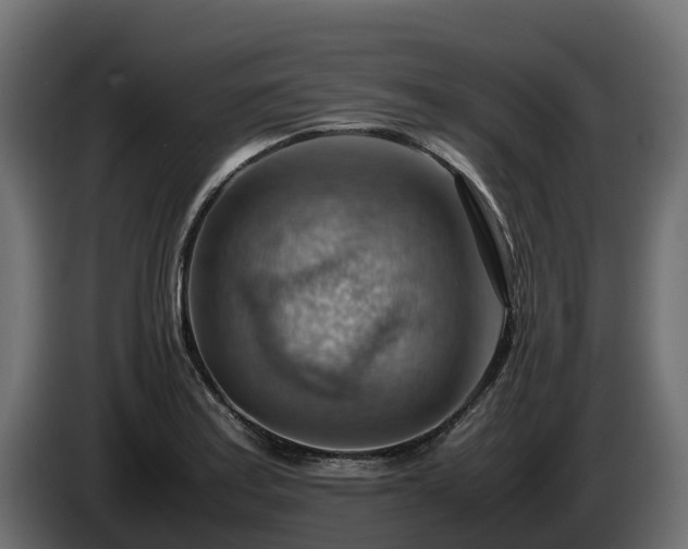 X0000085751179200703231125