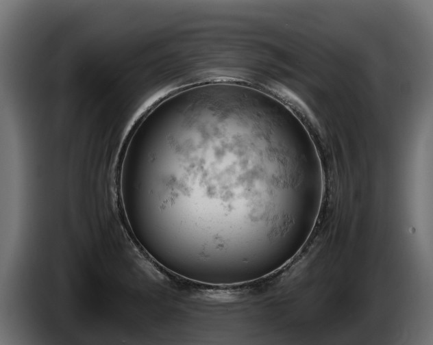 X0000085751182200703231125