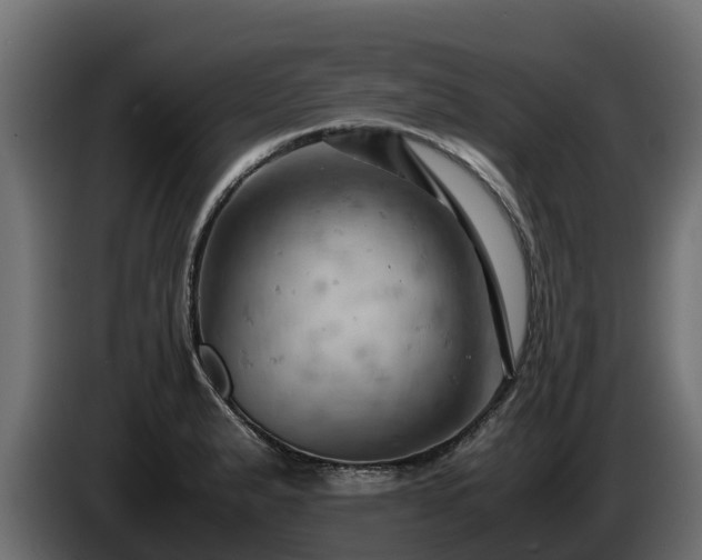 X0000085751183200703231125
