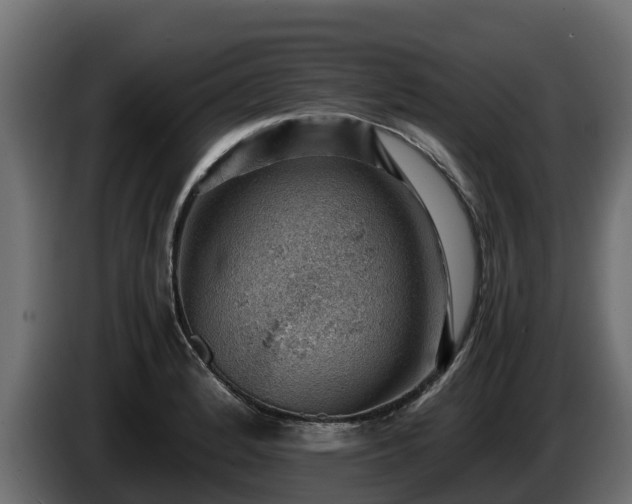 X0000085751184200703231125