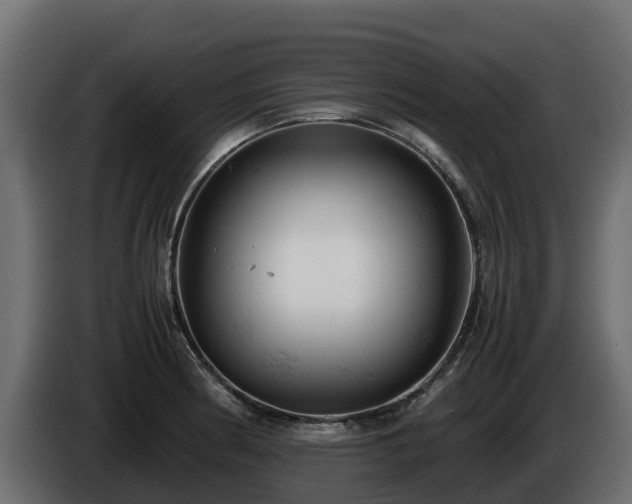 X0000085751186200703231125