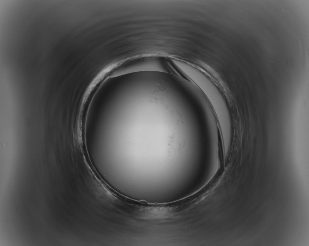 X0000085751188200703231125