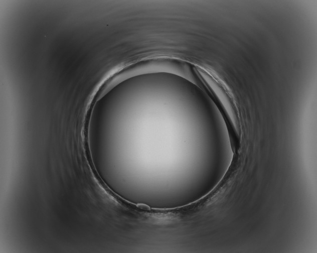 X0000085751189200703231125