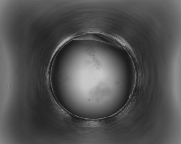 X0000085751190200703231125