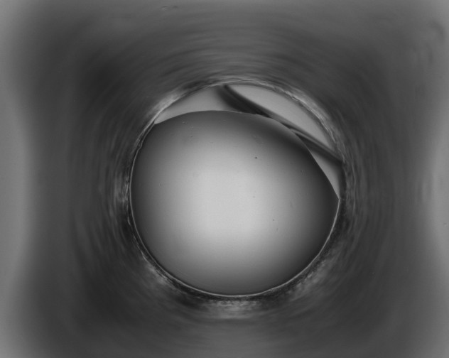 X0000085751193200703231125