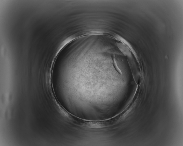 X0000085751194200703231125