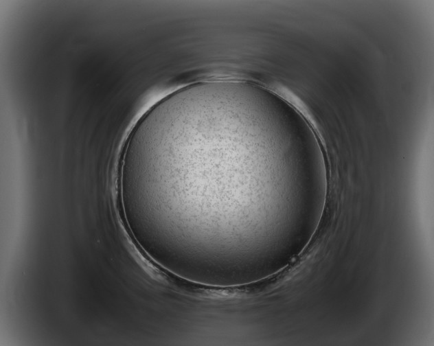 X0000085751195200703231125