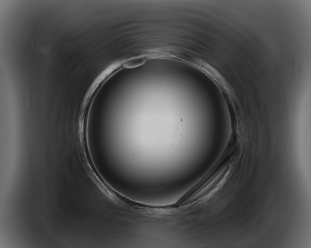 X0000085751196200703231125