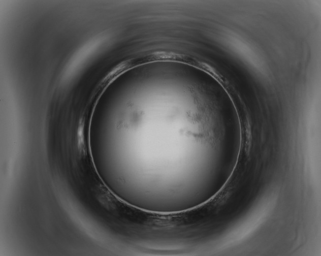 X0000085751198200703231125