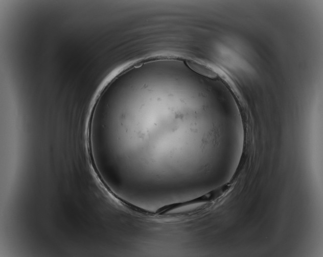 X0000085751199200703231125