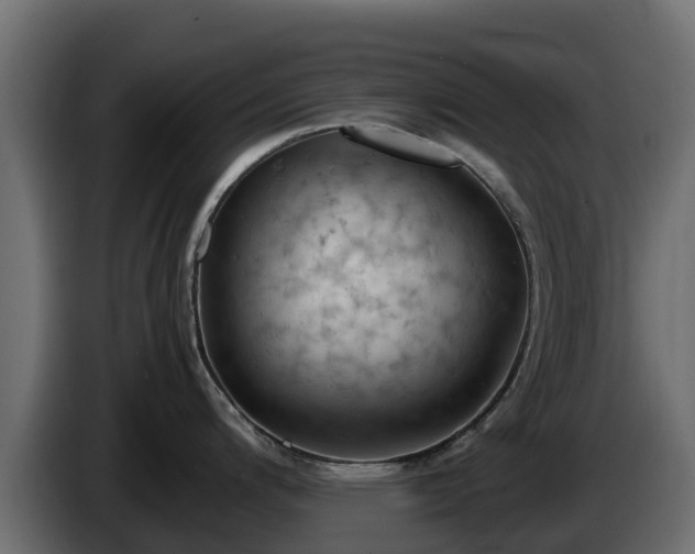 X0000085751200200703231125