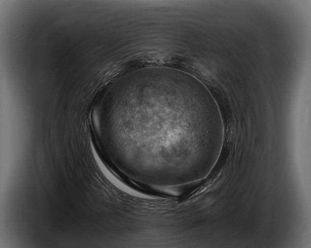 X0000085751202200703231124