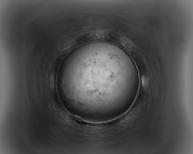 X0000085751203200703231124