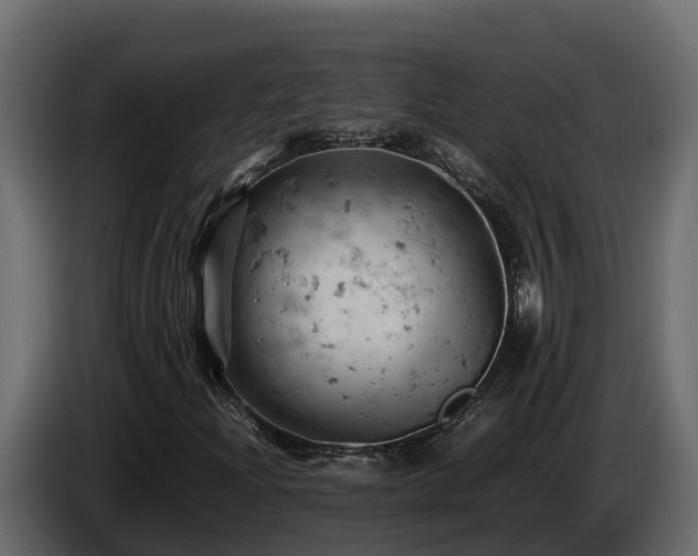 X0000085751204200703231124