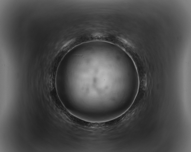 X0000085751205200703231124