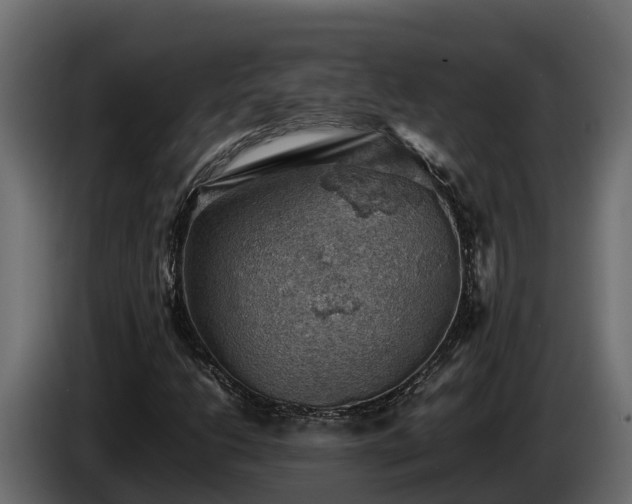 X0000085751206200703231124