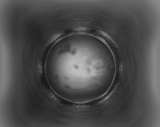X0000085751209200703231125