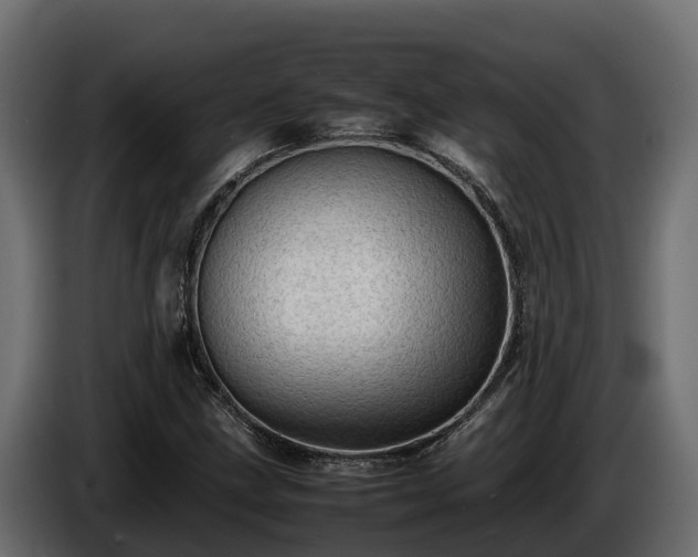 X0000085751211200703231125