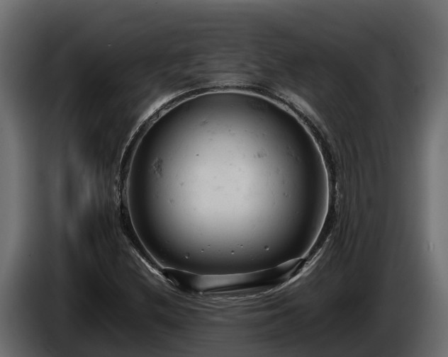 X0000085751212200703231125