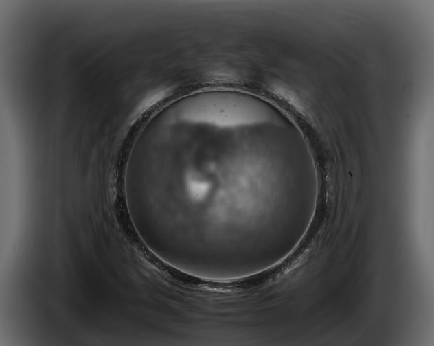 X0000085751213200703231125