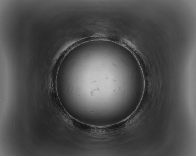 X0000085751215200703231125