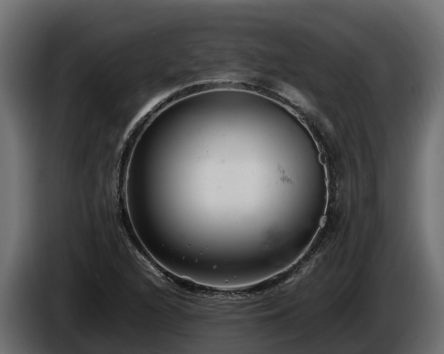 X0000085751216200703231125