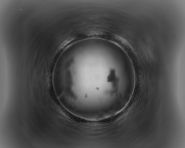 X0000085751217200703231125