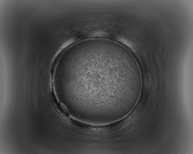 X0000085751219200703231125