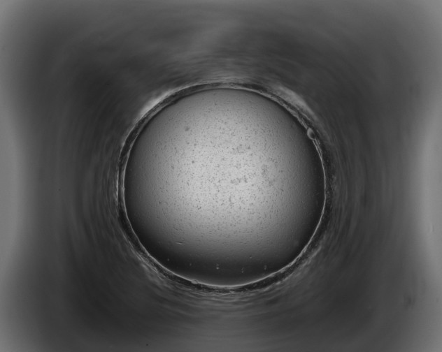 X0000085751220200703231125