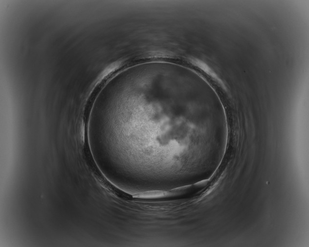 X0000085751221200703231125