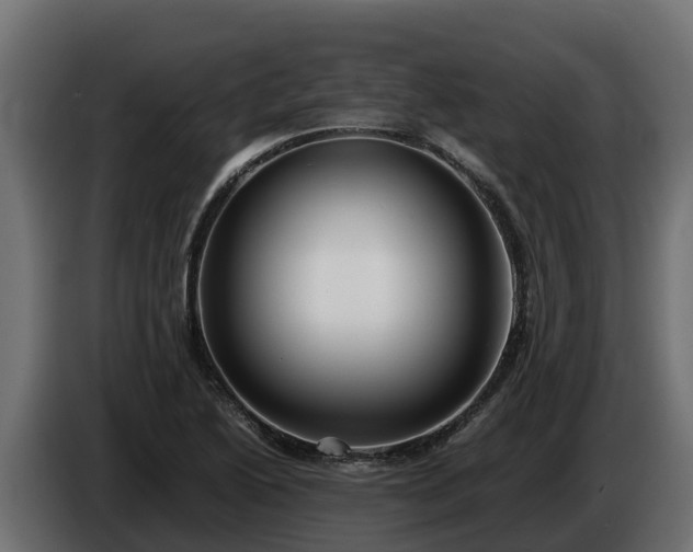 X0000085751222200703231125