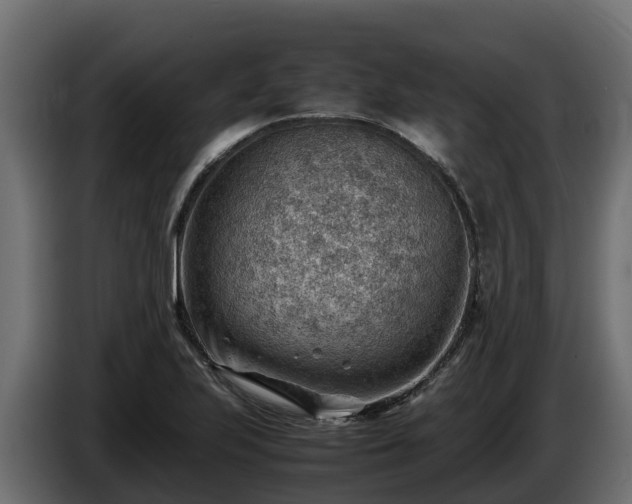 X0000085751223200703231125