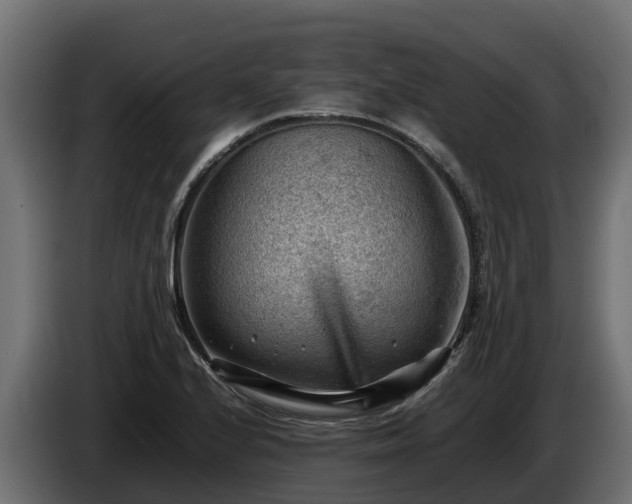 X0000085751224200703231125