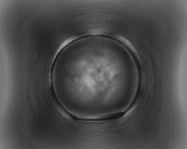 X0000085751226200703231125