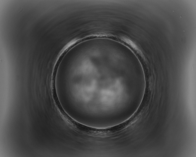 X0000085751229200703231125