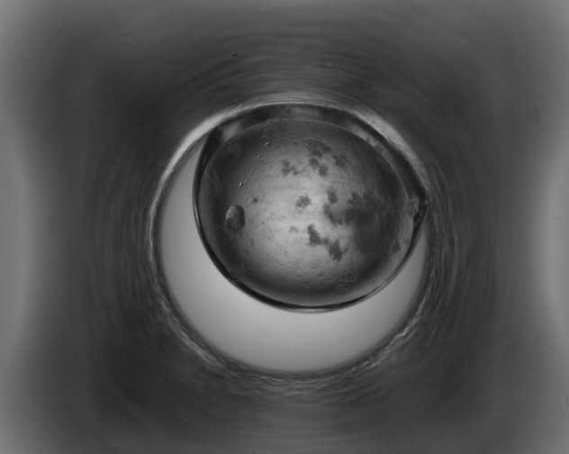 X0000085751230200703231125