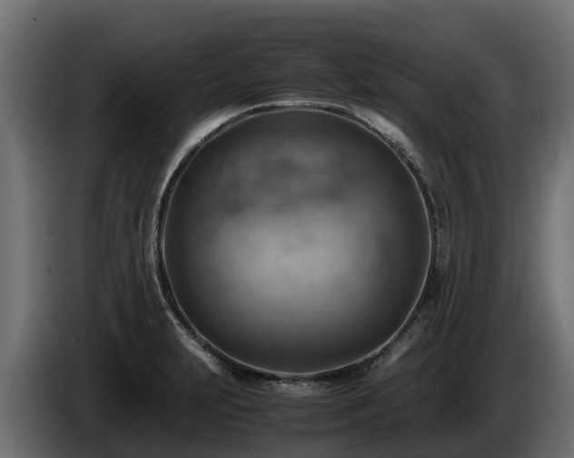 X0000085751231200703231125