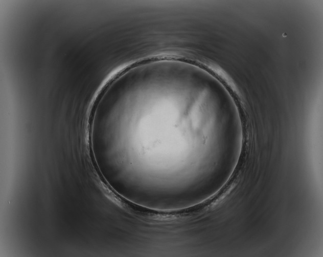 X0000085751232200703231125