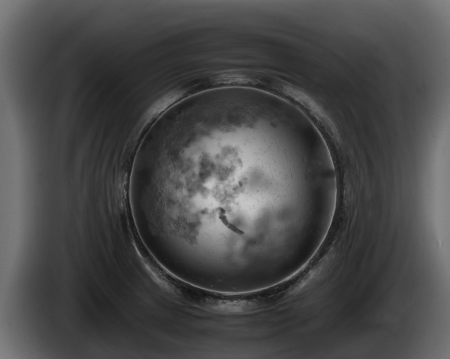 X0000085751233200703231125